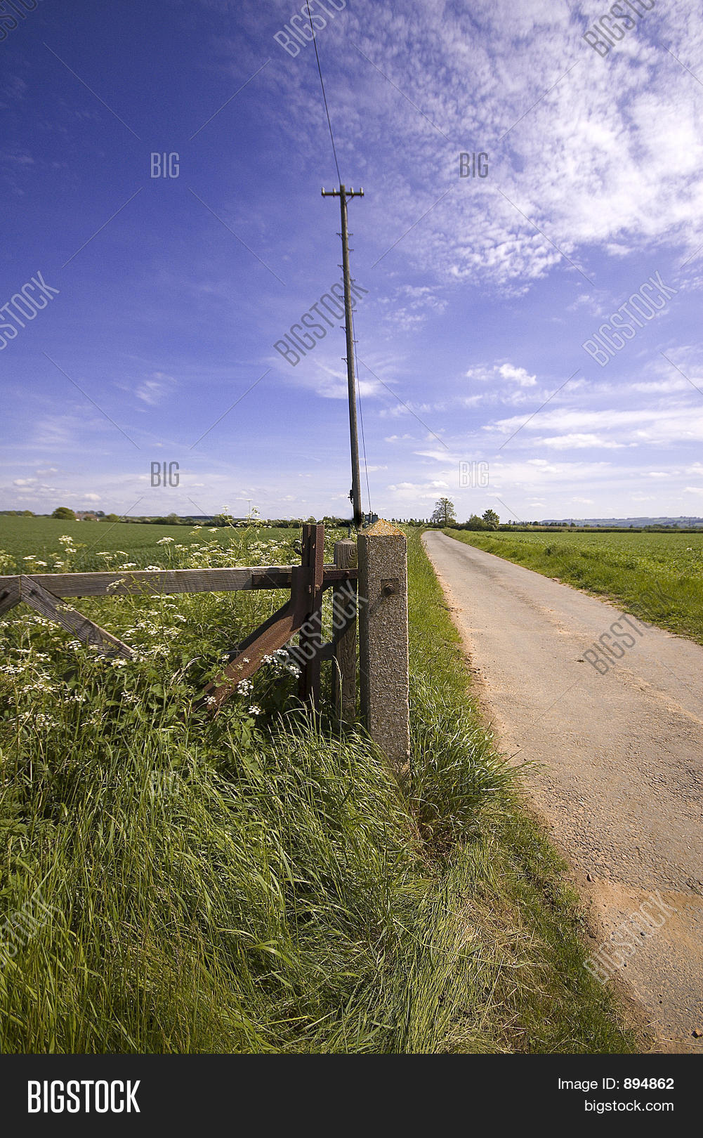Views Greenway Image & Photo (Free Trial) | Bigstock