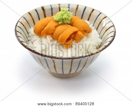 sea urchin roe on rice, japanese food