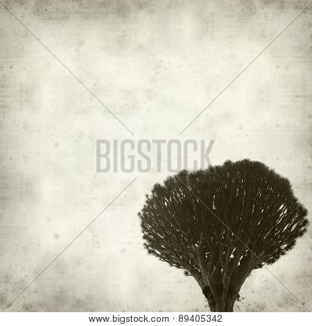 Textured Old Paper Background