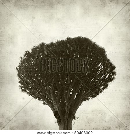 Textured Old Paper Background