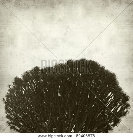 Textured Old Paper Background