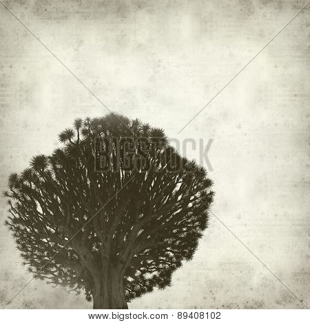 Textured Old Paper Background