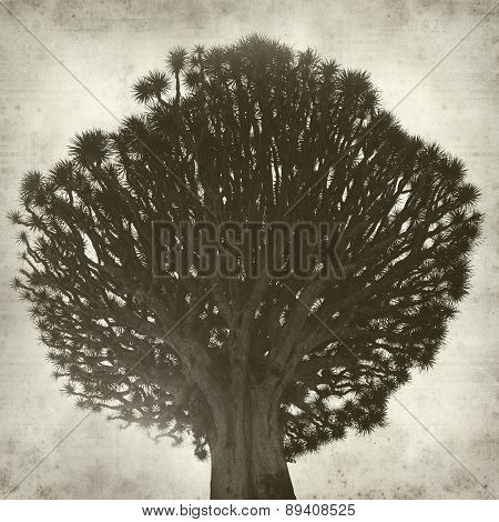 Textured Old Paper Background