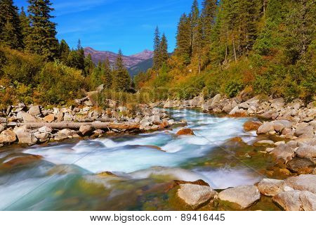 Pastoral in the Alpine mountain valley in Austria. Cascades of cold water at the source of the famous Krimml waterfalls. Rapid mountain stream of coniferous forests