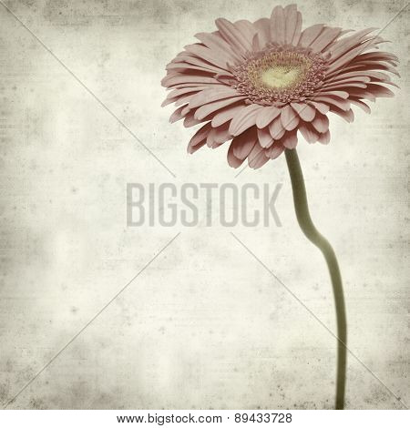 Textured Old Paper Background