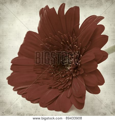 Textured Old Paper Background