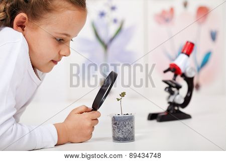 Young girl study a plant growing in plastic recipient - science class in elementary school