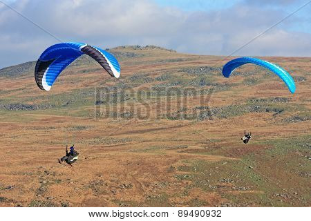 Paragliders