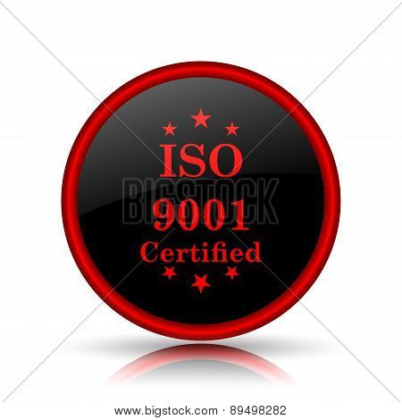 Iso9001 Icon