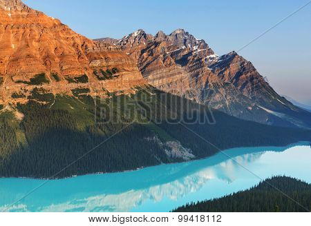 Peyto Lake  in Banff National Park,Canada