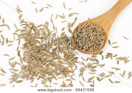 Caraway (carum Carvi) Seeds
