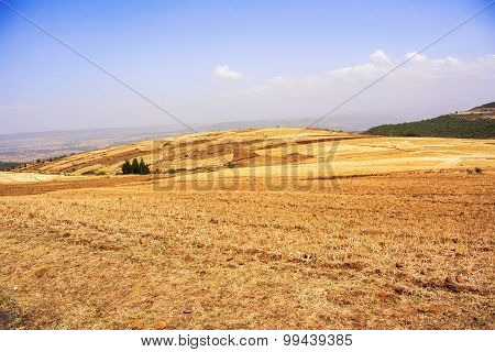 Farmland Landscape In Ethiopia