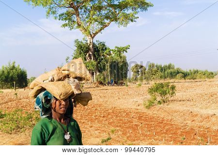 Ethiopian Woman
