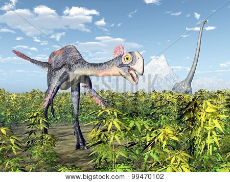 Gigantoraptor and Mamenchisaurus
