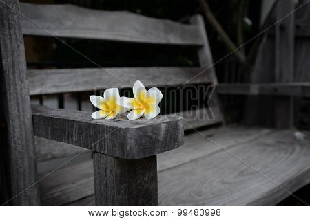 Plumeria Flowers On Wooden Bench