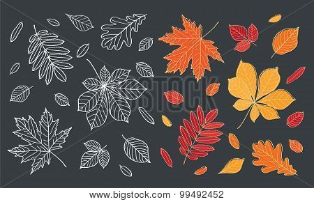 Fall of the leaves.