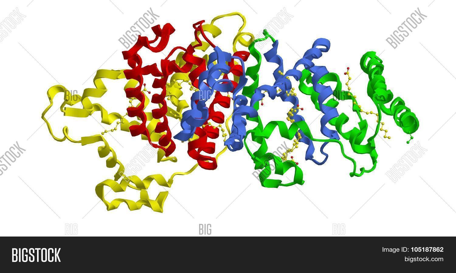 Molecular Structure Image & Photo (Free Trial) | Bigstock