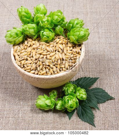Fresh Hops And Barley Grain - Closeup