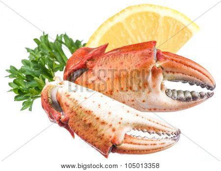 Cooked crab claws with lemon and herbs on a white background.