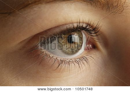 Close up dell'occhio