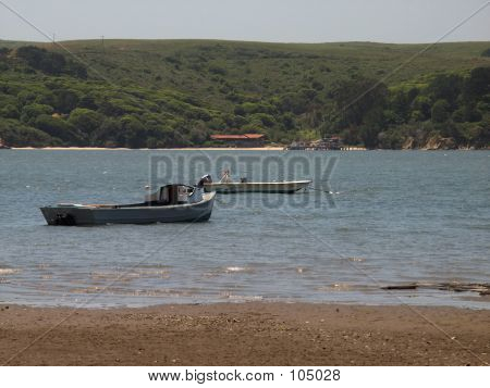เรือจอดในอ่าว Tomales