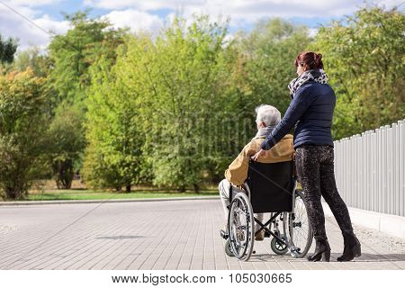 Disabled Senior In The Park