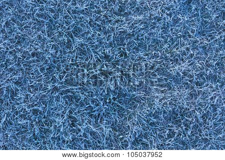 Morning frost