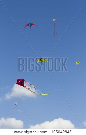 Sky Full Of Kites