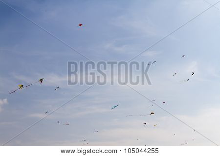 Sky Full Of Kites