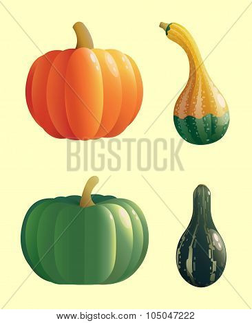 Pumpkins_1