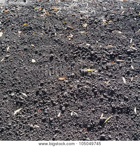 Loosened Soil And Fallen Leaves In Autumn
