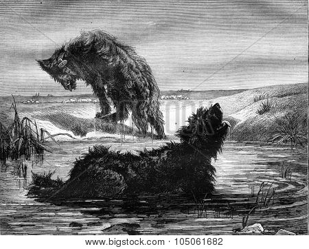 Sheepdogs in the Camargue, painting Vayson, vintage engraved illustration. Magasin Pittoresque 1878.