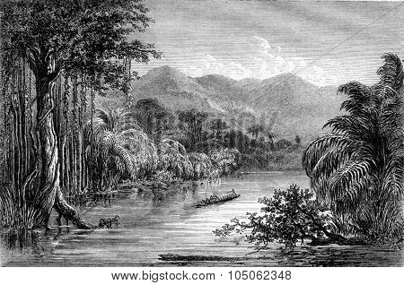 The river of Polochie, department of Verapaz, Republic of Guatemala, Central America, vintage engraved illustration. Magasin Pittoresque 1867.