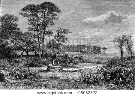 1876 Exhibition of Painting, Gorse in bloom, by Alexandre Sege, vintage engraved illustration. Magasin Pittoresque 1877.