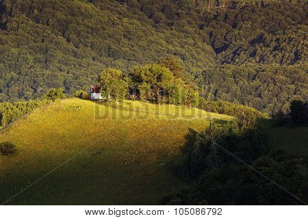 Summer morning on the hill