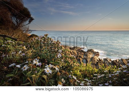 Bermagui Coastline