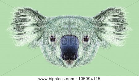 Illustrative Portrait of Koala Bear.