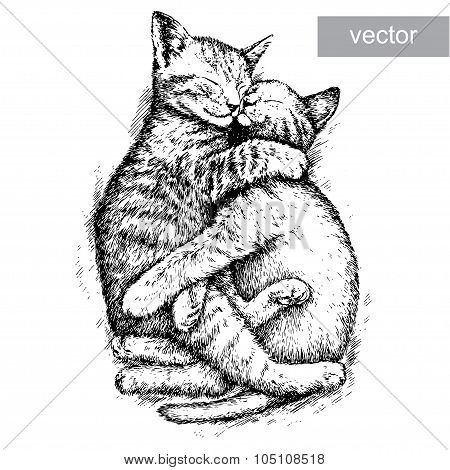 engrave kitten illustration