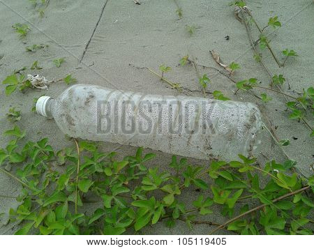 Empty Bottle