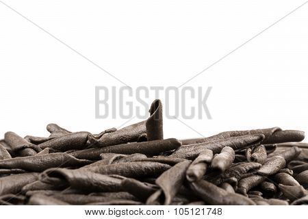 Seppia Pasta Fusilli