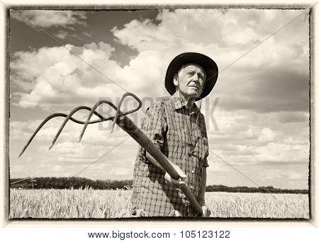 Senior Man Working In The Field