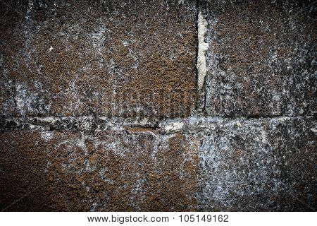 Cement concrete texture background grunge horror style