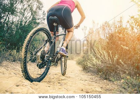 Mountain Biking