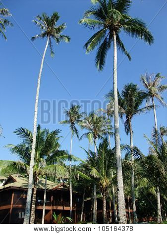 Redang island resort, Malaysia