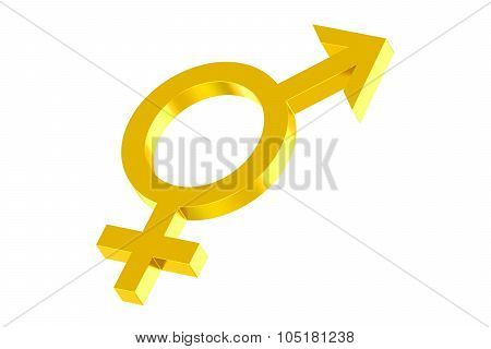 Androgyny Gender Symbol