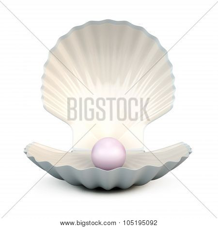 Shell Pearl On A White