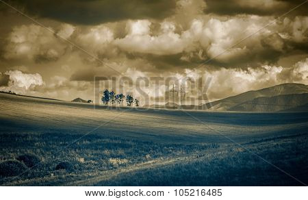 Landscape