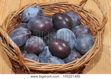 Freshly Harvested Plums