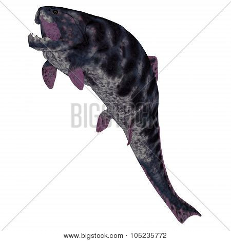 Dunkleosteus  Fish On White