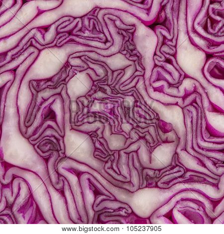 Close Up View Of A Purple Cabbage